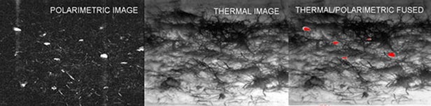 Corvus Polarized Thermal